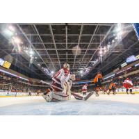 Allen Americans Goaltender Riley Gill vs. the Missouri Mavericks