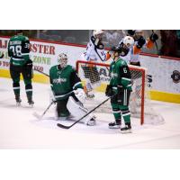 Texas Stars Watch the San Diego Gulls Celebrate