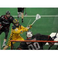 Georgia Swarm Forward Shayne Jackson Shoots vs. the Vancouver Stealth