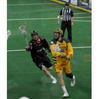 Georgia Swarm Forward Randy Staats vs. the Vancouver Stealth