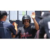Mark Payton of the Tampa Yankees Receives Congratulations