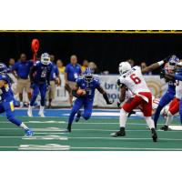 Tampa Bay Storm DB Cortez Stubbs Returns a Fumble vs. the Jacksonville Sharks