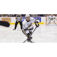 Former Bakersfield Condors Captain, D Erik Burgdoerfer, with the Hershey Bears