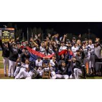 Missoula Osprey Celebrate Pioneer League Title
