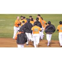 Long Island Ducks Celebrate Walk-Off Win