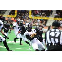 Orlando Predators Wide Receiver Brandon Thompkins