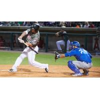 Cal Towey of the Arkansas Travelers at the Plate