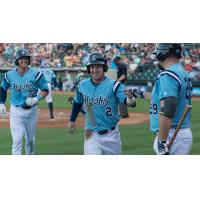 Alex Bregman of the Corpus Christi Hooks Congratulated by Teammates