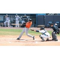 Anthony Vega of the Long Island Ducks