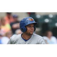Midland RockHounds Designated Hitter Viosergy Rosa
