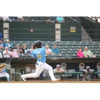 Gleyber Torres of the Myrtle Beach Pelicans