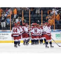 Allen Americans Celebrate Series-Clinching Win over the Missouri Mavericks