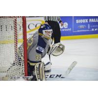 Sioux Falls Stampede Goaltender Stefanos Lekkas