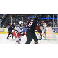 Lake Erie Monsters Test the Grand Rapids Griffins Goal