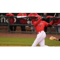 Jermaine Curtis of the Louisville Bats