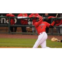 Jermaine Curtis of the Louisville Bats