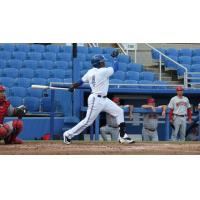 Dunedin Blue Jays LF David Harris