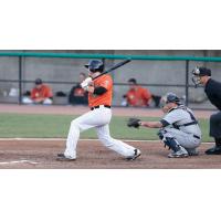 Matt Wessinger of the Long Island Ducks