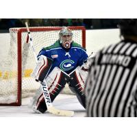 Connecticut Whale Goaltender Shenae Lundberg