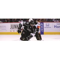 Ontario Reign vs. the San Diego Gulls