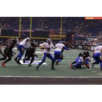 Tampa Bay Storm Quarterback Jason Boltus Drops back for a Pass vs. the Orlando Predators