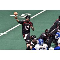 Orlando Predators Quarterback Randy Hippeard against the Tampa Bay Storm