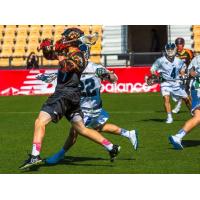 Atlanta Blaze in Action