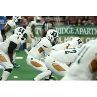 Arizona Rattlers Quarterback Nick Davila