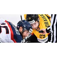 Former Bakersfield Condor C Leon Draisaitl (Right) with Germany