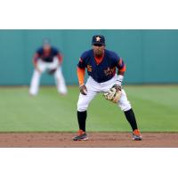 Fresno Grizzlies 2B/OF Tony Kemp