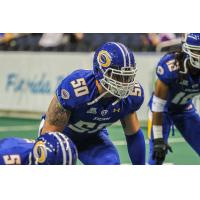 Tampa Bay Storm Mac Linebacker Jimmy Gordon