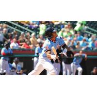 Hickory Crawdads in Action