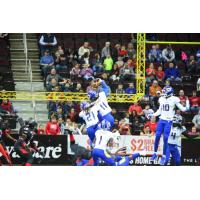 Tampa Bay Storm WR Phillip Barnett Grabs an Onside Kick vs. the Cleveland Gladiators