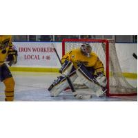 Springfield Jr Blues Goaltender Niko Della Maggiore
