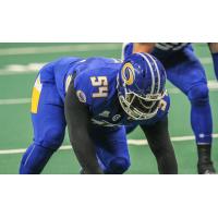 Tampa Bay Storm Defensive Lineman Padric Scott