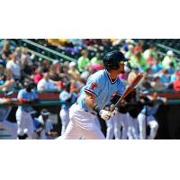 Hickory Crawdads at the Plate
