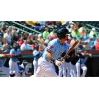 Hickory Crawdads at the Plate