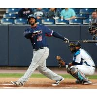 Somerset Patriots Infielder Matt Fields