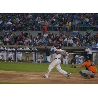 Eric Farris of the Somerset Patriots Swings Away