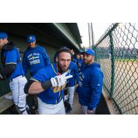 Sioux Falls Canaries First Baseman David Bergin