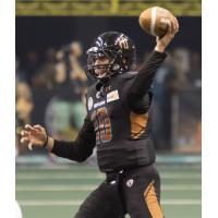 Arizona Rattlers Quarterback Nick Davila