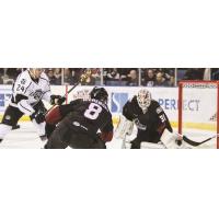 Ontario Reign vs. the Lake Erie Monsters
