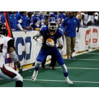 Tampa Bay Storm Wide Receiver Julius Gregory