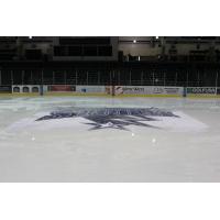 Tri-City Storm Logo at Center Ice