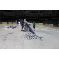 Tri-City Storm Logo Removal at Viaero Center