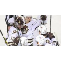Hershey Bears Celebrate