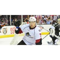 Lake Erie Monsters Celebrate a Goal