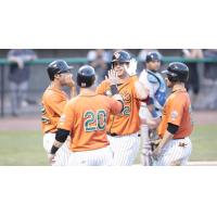 Long Island Ducks Celebrate Tyler Colvin's Grand Slam