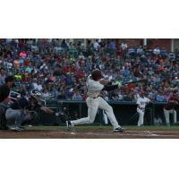 Ryan Cordell of the Frisco RoughRiders