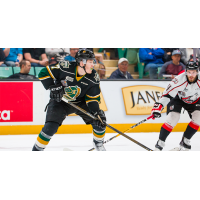 London Knights LW Matthew Tkachuk vs. the Rouyn-Noranda Huskies